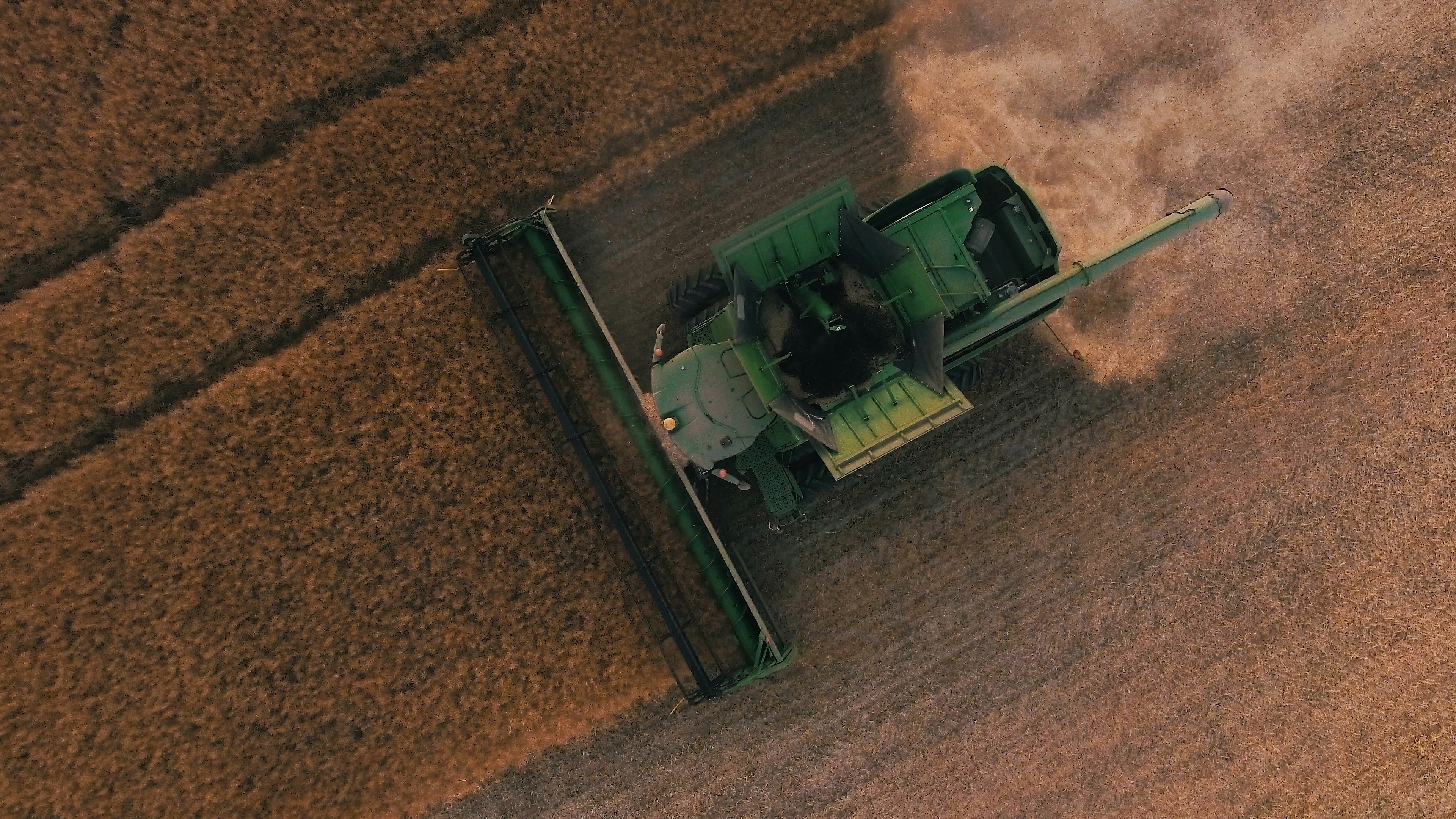 Commercial Farm