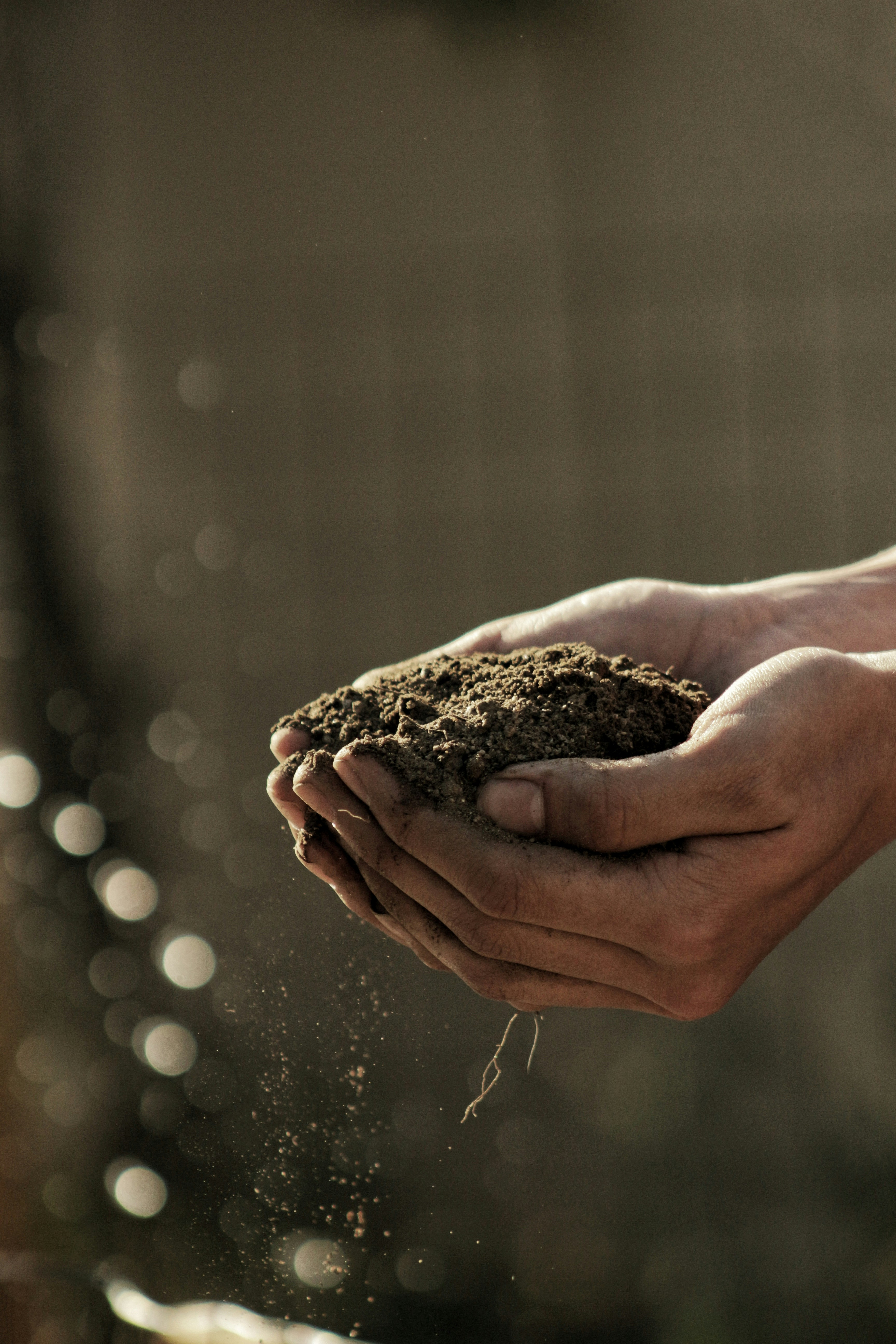 Hands holding rich soil, symbolizing data for better yields