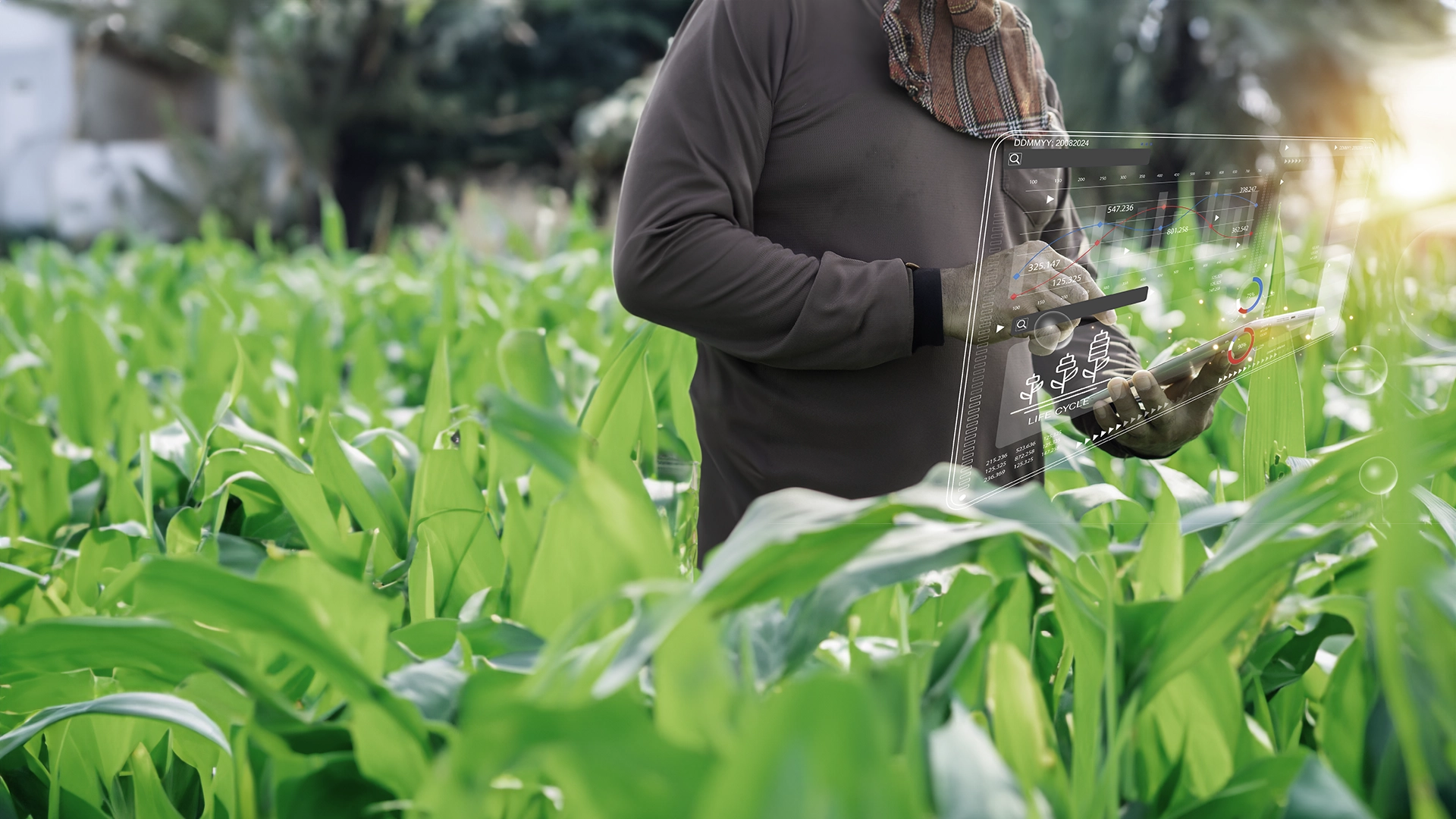 Farmer using technology in field